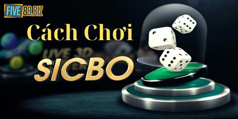 Luật Chơi Sicbo & 4 Bí Quyết Cược Chuẩn Như Cao Thủ